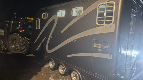 Equi trek star - 2, horse